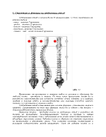 Методика на кинезитерапия при гръбначни изкривявания