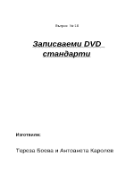 Записваеми DVD стандарти