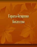 Гората - безценно богатство