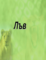 Лъв