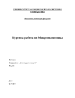 Курсова работа по микроикономика