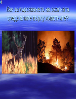 как замърсяването на околната среда влияе върху животните