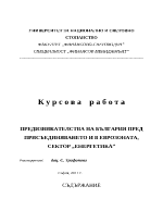 Предизвикателства на България пред присъединяването и в Еврозоната сектор Енергетика