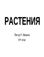 Растения