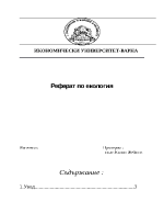 Нефтеният разлив в Мексиканския залив