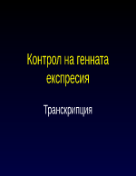 Контрол на генната експресия Транскрипция