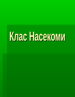 Клас Насекоми