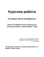 Маркетингов подход към безнес система