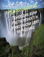 Африка - природни зони растителност и животински свят
