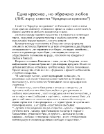 Една красивано обречена любов ЛИС върху повестта Крадеца на праскови