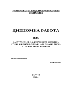 Застраховане на домашните животни птици и кошери с пчели оценка на риска и тенденции на развитие