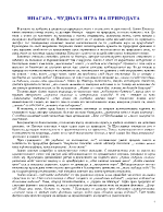 Ниагара - чудната игра на природата До Чикаго и назад - Алеко Константинов