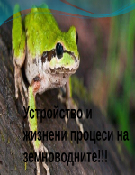 земноводни