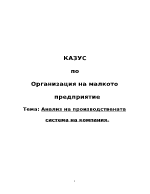 Анализ на производствената система на компания