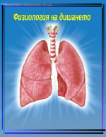 Физиология на дишането