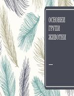 Основни групи животни