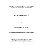 Здравословни и безопасни условия на труд