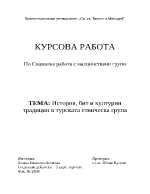 История бит и културни традиции на турската етническа група