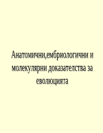 Анатомични ембриологични и молекулярни доказателства за еволюцията