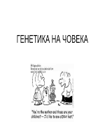 Генетика на човека