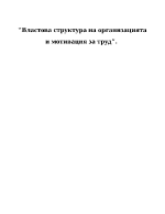 Властова структура на организацията и мотивация за труд 