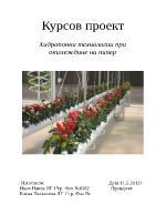 Хидропонни технологии при отглеждане на пипер