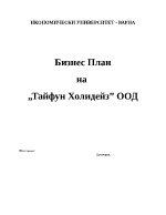 Бизнес план - тайфун холидейз оод