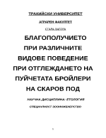 БЛАГОПОЛУЧИЕТО ПРИ РАЗЛИЧНИТЕ ВИДОВЕ ПОВЕДЕНИЕ ПРИ ОТГЛЕЖДАНЕТО НА ПУЙЧЕТАТА БРОЙЛЕРИ НА СКАРОВ ПОД