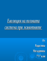 Еволюция на половата система при животните