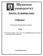 Кръвоносна система Голям кръг на кръвообращението