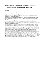 Литературно есе на тема Човекът е бяло и черно зърно Елин Пелин разкази 