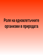 Роля на едноклетъчните организми в природата