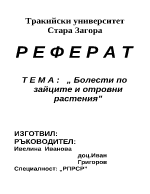 Инфлация -реферат