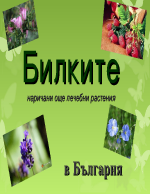 Билките наричани още лечебни растения в България