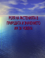 Роля на растенията в природата и значението им за човека