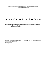 Профил на организационната култура на Петрол АД 