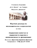 Социалния капитал и социалните мрежи в икономическата организация