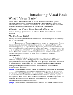 Introducing Visual Basic на бълг език
