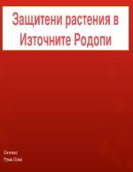 Защитени растения в източните Родопи