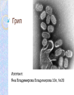 Вирус - грип