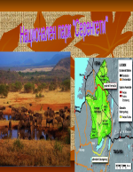 Национален парк Серенгети