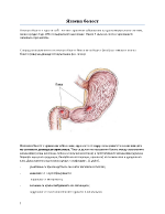 Рехабилитацинна програма при язва на стомаха и дванадесетопръстсника