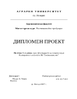 Специфика при отглеждането на слънчоглед в България