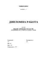 Видове фирмени стратегии по примера на Електрострой 61 ЕООД