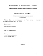 Цех за производство на бели вина с годишна производителност 6106 kg грозде