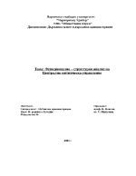 Функционално-структурен анализ на Централно митническо управление