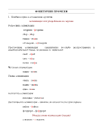 ФОНЕТИЧНИ ПРОМЕНИ