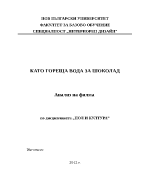 Анализ на филма quotКато гореща вода за шоколадquot