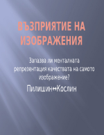 Запазва ли менталната репрезентация качествата на самото изображение