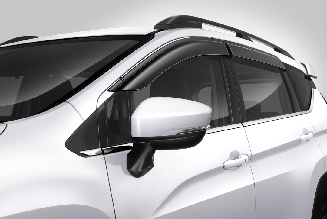 Side Visor